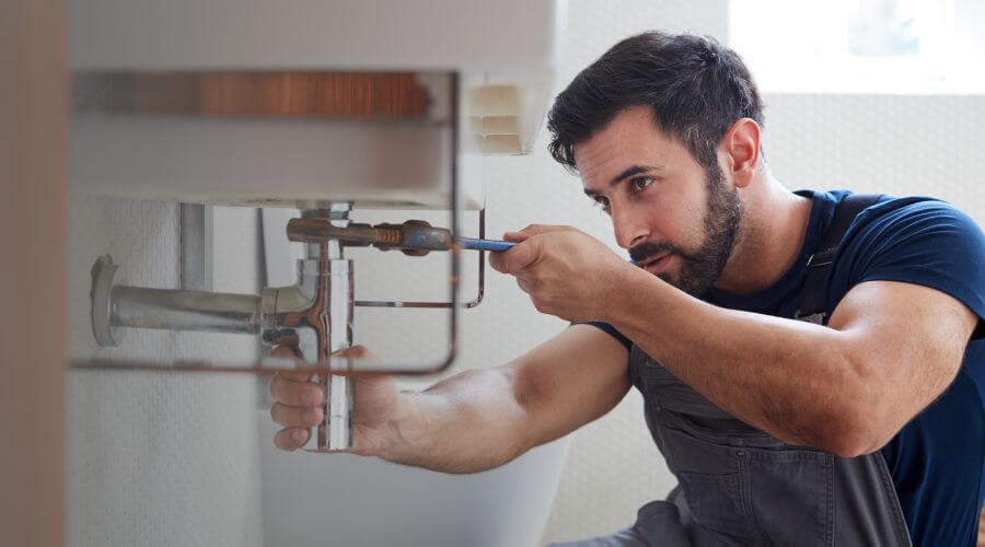 Trap Repair/Replacement in Maeystown, IL